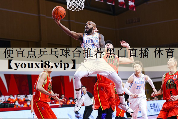 便宜點乒乓球臺推薦黑白直播 體育