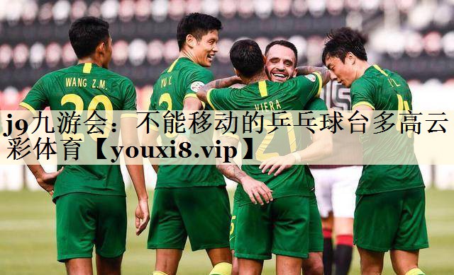 j9九游會(huì)：不能移動(dòng)的乒乓球臺(tái)多高云彩體育