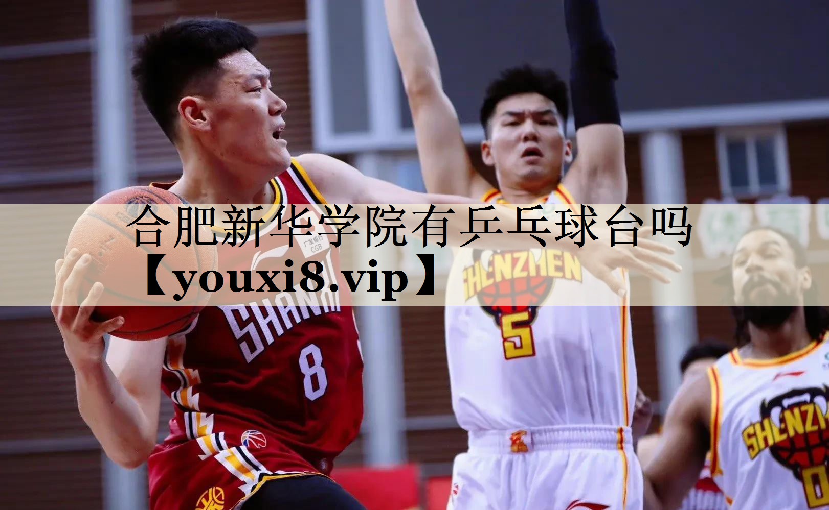 合肥新華學(xué)院有乒乓球臺(tái)嗎